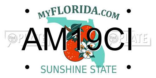 AM19CI Florida License Plate