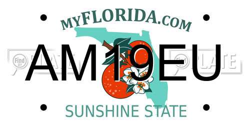 AM19EU Florida License Plate