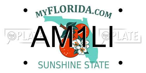 AM1LI Florida License Plate