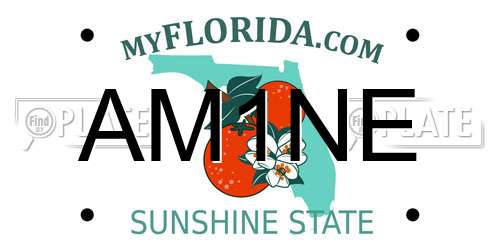 AM1NE Florida License Plate