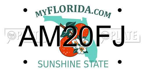 AM20FJ Florida License Plate