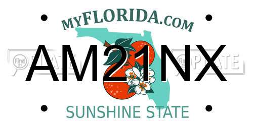 AM21NX Florida License Plate