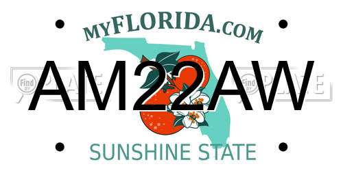 AM22AW Florida License Plate