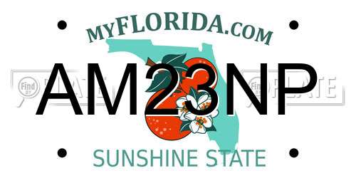 AM23NP Florida License Plate