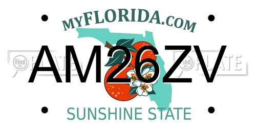 AM26ZV Florida License Plate