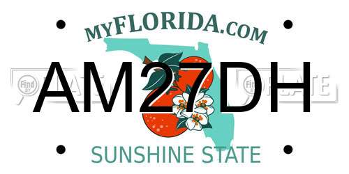 AM27DH Florida License Plate