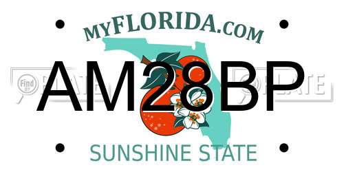 AM28BP Florida License Plate