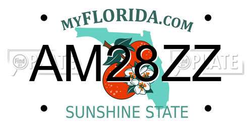AM28ZZ Florida License Plate
