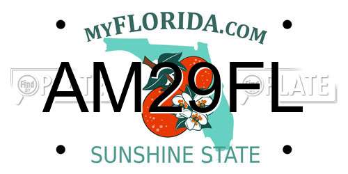 AM29FL Florida License Plate