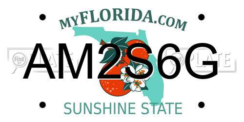 AM2S6G Florida License Plate
