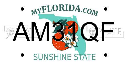 AM31QF Florida License Plate