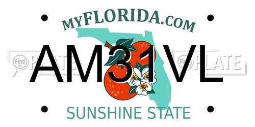 AM31VL Florida License Plate