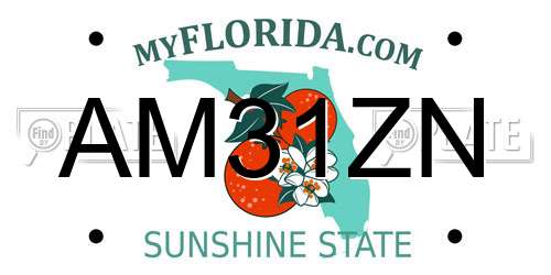 AM31ZN Florida License Plate