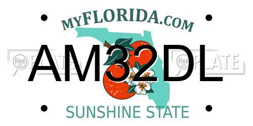 AM32DL Florida License Plate