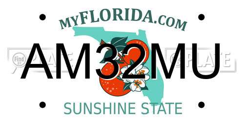 AM32MU Florida License Plate