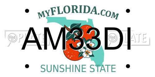 AM33DI Florida License Plate