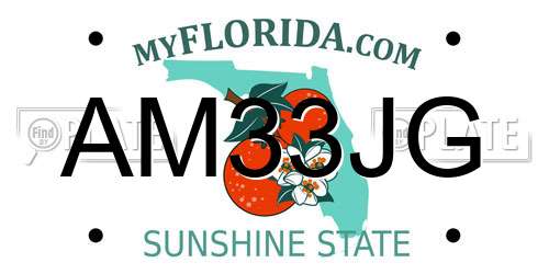 AM33JG Florida License Plate