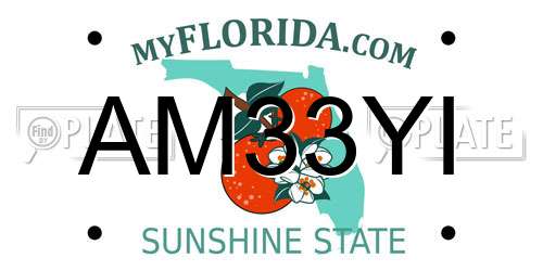 AM33YI Florida License Plate