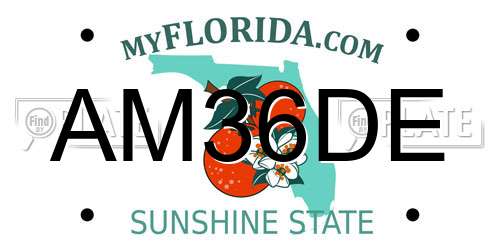 AM36DE Florida License Plate