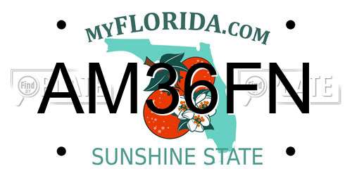 AM36FN Florida License Plate