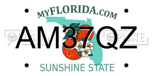 AM37QZ Florida License Plate