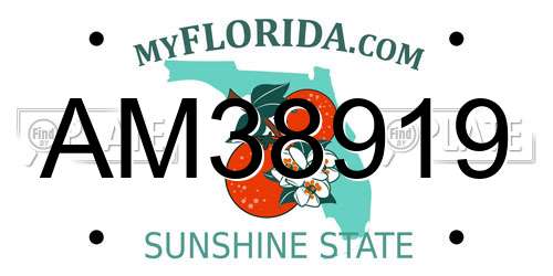 AM38919 Florida License Plate