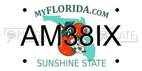 AM38IX Florida License Plate