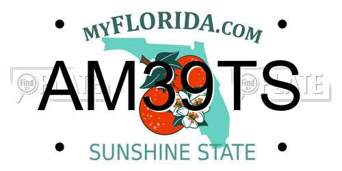 AM39TS Florida License Plate