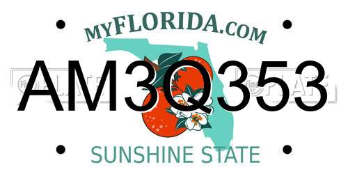 AM3Q353 Florida License Plate