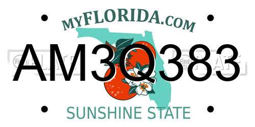 AM3Q383 Florida License Plate