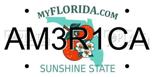 AM3R1CA Florida License Plate