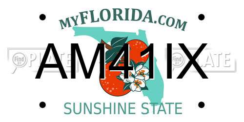 AM41IX Florida License Plate
