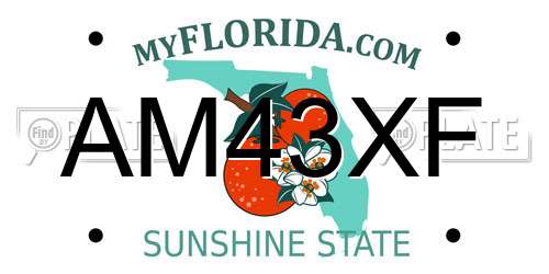 AM43XF Florida License Plate