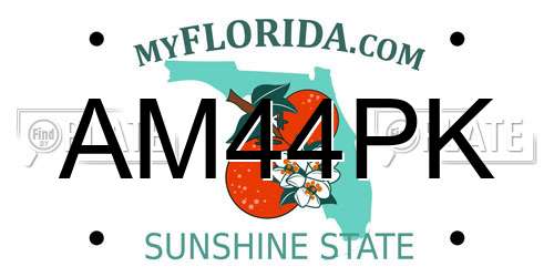 AM44PK Florida License Plate