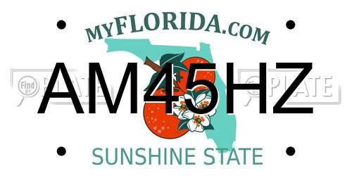 AM45HZ Florida License Plate