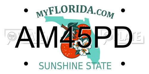 AM45PD Florida License Plate