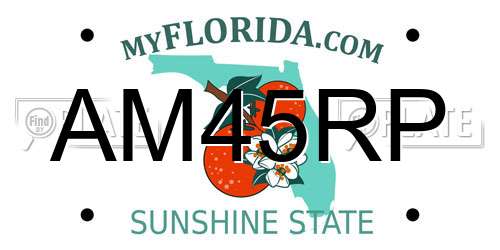 AM45RP Florida License Plate