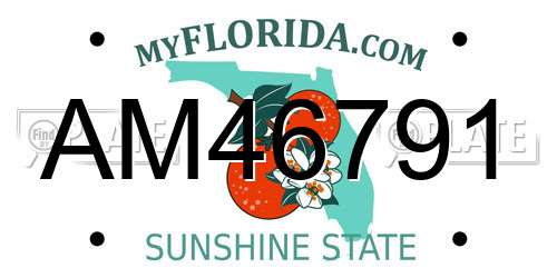 AM46791 Florida License Plate