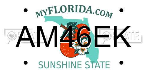 AM46EK Florida License Plate