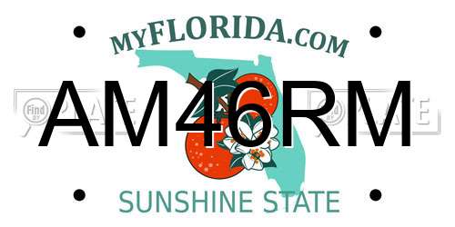 AM46RM Florida License Plate