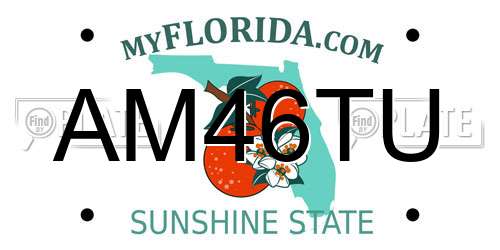 AM46TU Florida License Plate