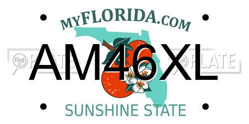 AM46XL Florida License Plate