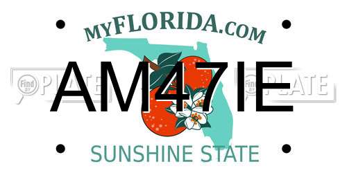 AM47IE Florida License Plate