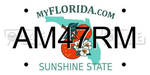 AM47RM Florida License Plate