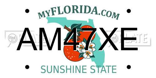 AM47XE Florida License Plate