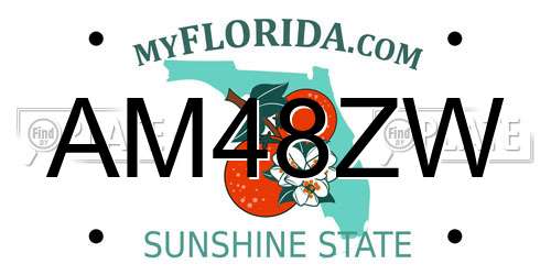 AM48ZW Florida License Plate