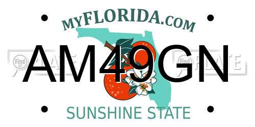 AM49GN Florida License Plate