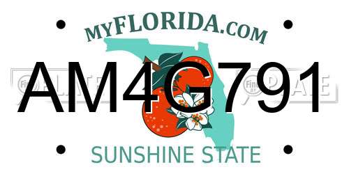 AM4G791 Florida License Plate