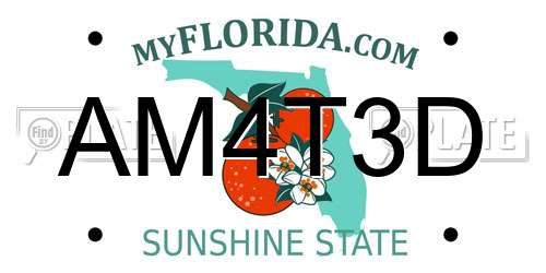 AM4T3D Florida License Plate