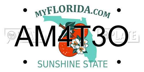 AM4T3O Florida License Plate